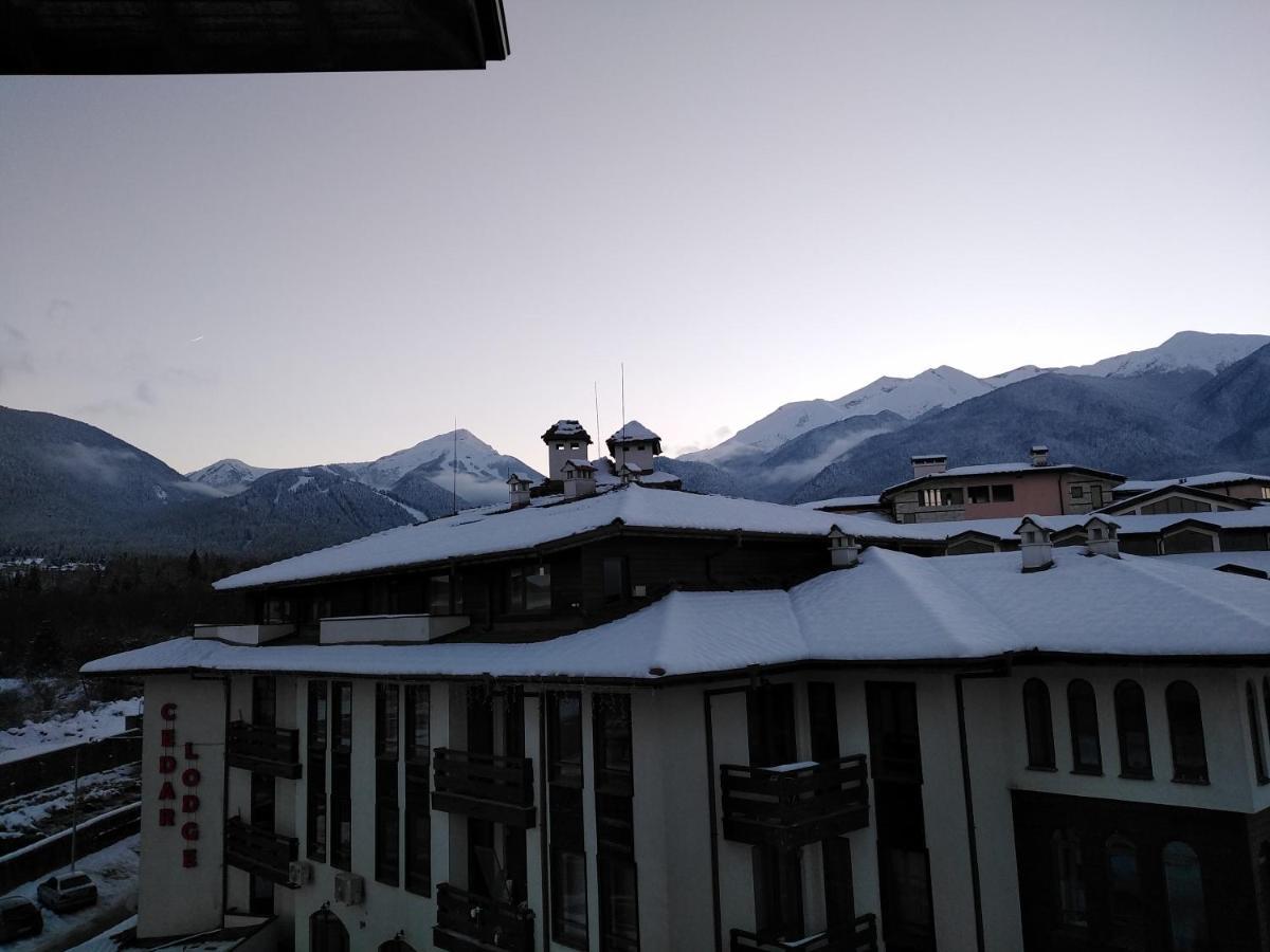 Bansko Royal Towers - Studio 153 Kültér fotó